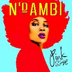 NDAMBI - Pink Elephant - album sleeve artwork1.jpg